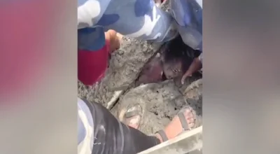 Sobrevivente de 6 anos é salva após 60 horas sob escombros de enchente que já matou 600 no Nepal