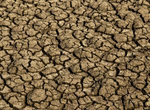 Super El Niño: o fenômeno climático que pode agravar crises no Brasil