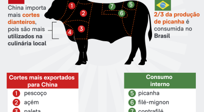 Taxa chinesa elevará preços da carne no Brasil e impactará mercado interno