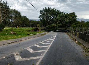 Três mortes em São Paulo devido a ventos fortes e alertas de tempestade