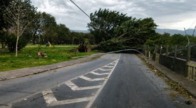 Três mortes em São Paulo devido a ventos fortes e alertas de tempestade
